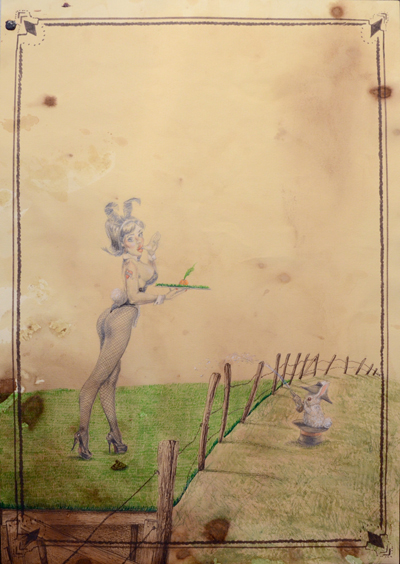 Why Is the Grass Always Greener on the Other Side